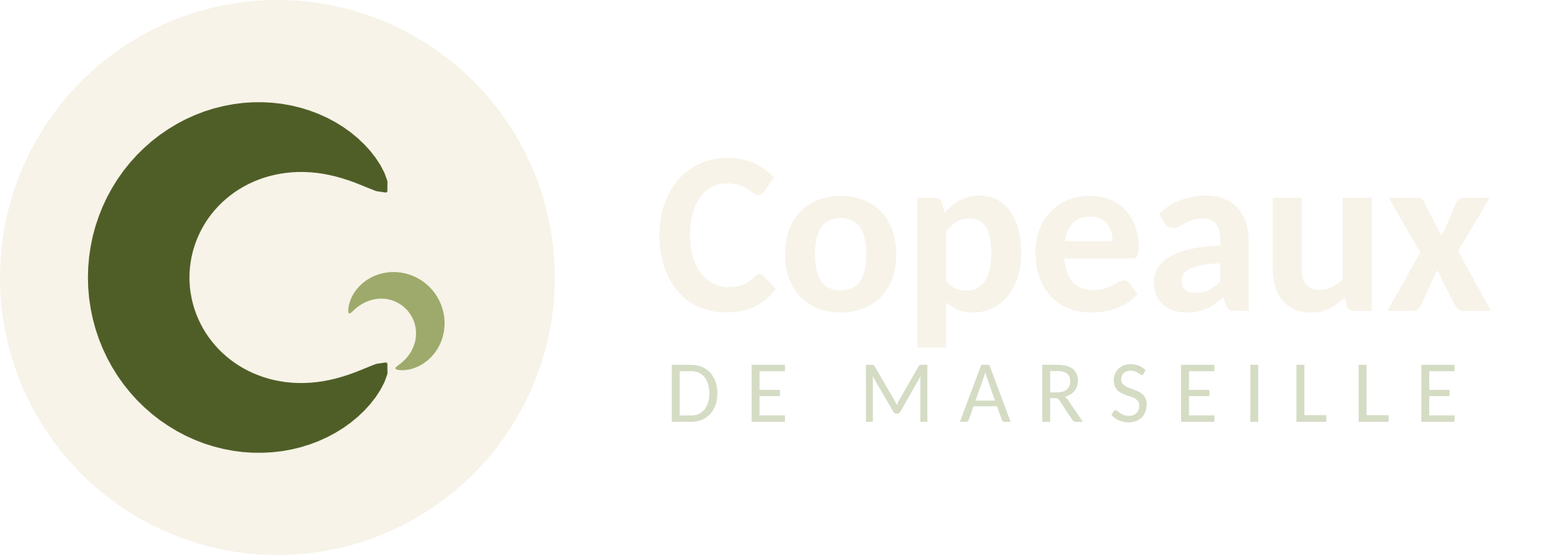 Copeaux de Marseille